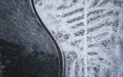 Profile First. Tender Second.  Know Your Real Energy Profile Before You Hedge